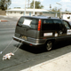 Image for article titled They Drove Cross-Country In An Autonomous Minivan Without GPS. In 1995.